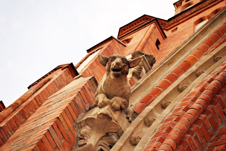 gothic churchの写真素材