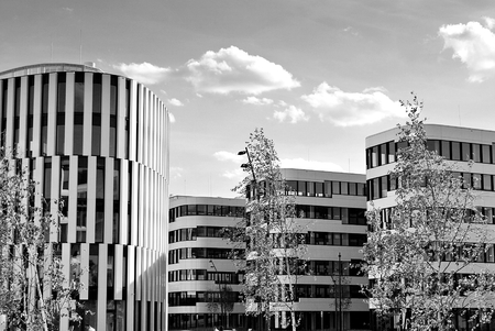 Modern office building with facade of glass. Black and white