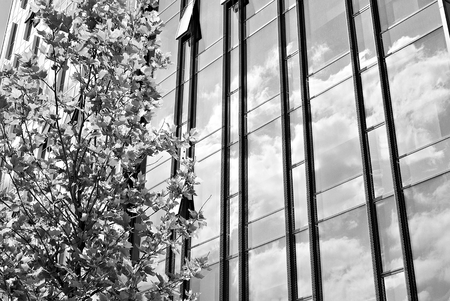 Modern office building. Architectural details of modern building. Black and white.