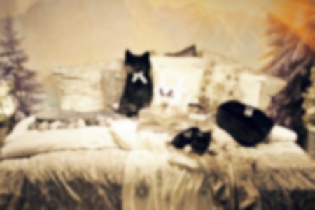 image shop bed in the department storeの写真素材