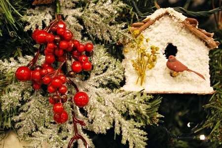 Christmas tree, giftsの写真素材