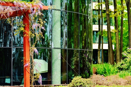 View of contemporary glass building with green trees