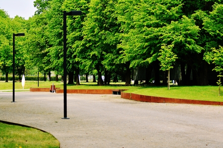 Beautiful panorama of green city park at dawnの写真素材