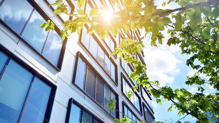 Eco building in modern city concept. Modern office building with the fresh green leaves.の写真素材