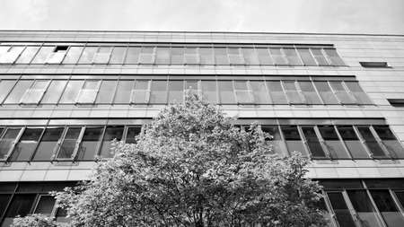 Abstract modern architecture with high contrast black and white tone. Architecture of geometry at glass window - monochrome.のeditorial素材
