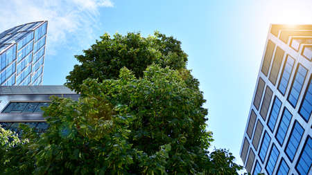 Modern apartment buildings on a sunny day with a blue sky. Facade of a modern apartment building....