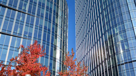 Blue curtain wall made of toned glass and steel constructions under blue sky. A fragment of a...