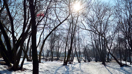 Warsaw, Poland. 21 February 2021. Winter in park in Warsaw city center.のeditorial素材