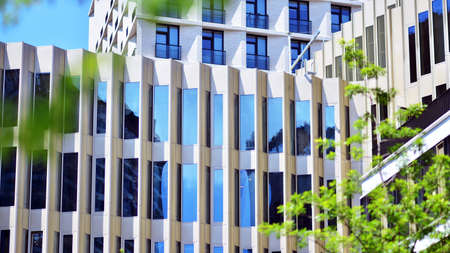Eco architecture. Green tree and glass office building. The harmony of nature and modernity.