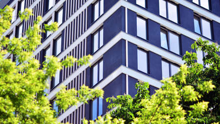Eco architecture. Green tree and apartment building. The harmony of nature and modernity.の写真素材