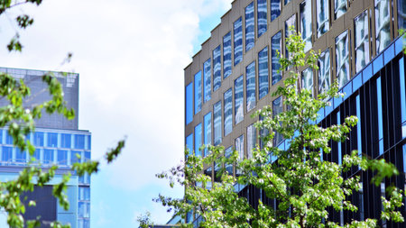 Eco architecture. Green tree and glass office building. The harmony of nature and modernity.の写真素材