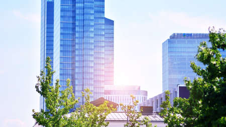 Eco architecture. Green tree and glass office building. The harmony of nature and modernity. Reflection of modern commercial building on glass with sunlight.の写真素材