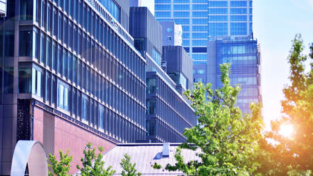 Eco architecture. Green tree and glass office building. The harmony of nature and modernity....