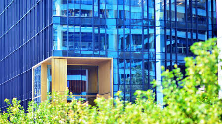 Eco architecture. Green tree and glass office building. The harmony of nature and modernity....