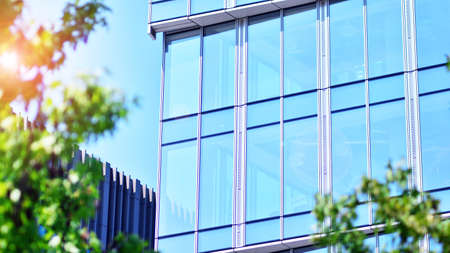Eco architecture. Green tree and glass office building. The harmony of nature and modernity....