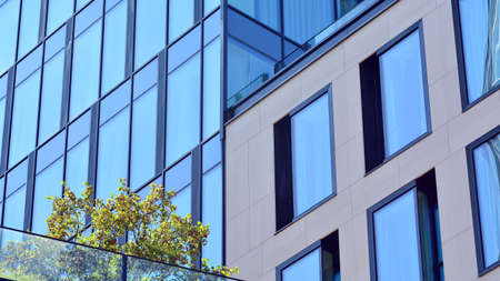 Modern glass office building with green leaves. Eco building and greens plants in city concept.