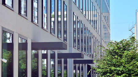 Modern glass office building with green leaves. Eco building and greens plants in city concept.