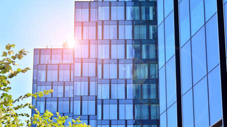 Modern glass office building with green leaves. Eco building and greens plants in city concept.の写真素材