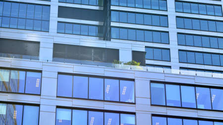 Modern glass office building with green leaves. Eco building and greens plants in city concept.の写真素材