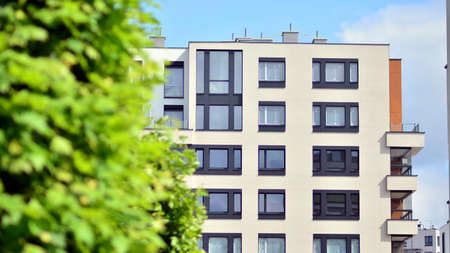 Eco architecture. Green tree and new apartment building. The harmony of nature and modernity.