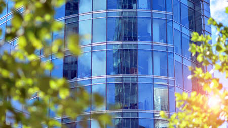 Eco architecture. Green tree and glass office building. The harmony of nature and modernity. Reflection of modern commercial building on glass with sunlight.の写真素材