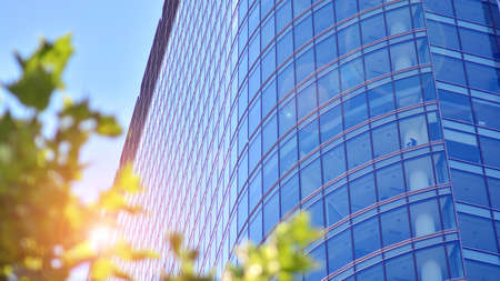 Eco architecture. Green tree and glass office building. The harmony of nature and modernity....