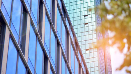 Green eco building office windows with tree. Ecology and green living in city, urban environment...