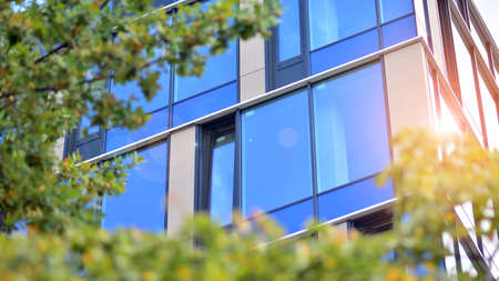 Green eco building office windows with tree. Ecology and green living in city, urban environment concept. Modern office building and green trees.の写真素材