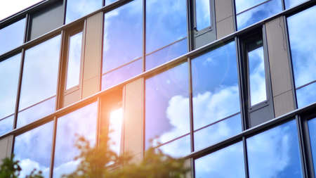 Green eco building office windows with tree. Ecology and green living in city, urban environment...