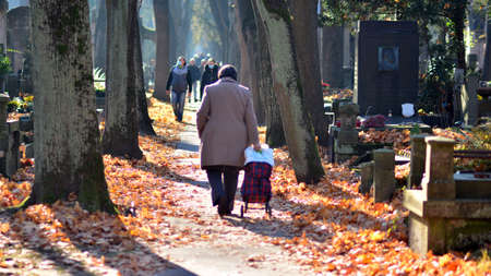 Warsaw, Poland. 1 November 2021. Old Powazki is historic cemetery in Wola District of Warsaw city. Tombstones and trees at the old cemetery. All Saints Day.のeditorial素材