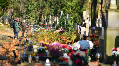 Warsaw, Poland. 1 November 2021. Old Powazki is historic cemetery in Wola District of Warsaw city. Tombstones and trees at the old cemetery. All Saints Day.のeditorial素材