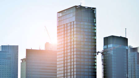 Inspiring view of the modern city. The wall of the building of glass and metal against trees....