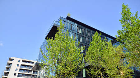 Eco architecture. Green tree and glass office building. The harmony of nature and modernity....