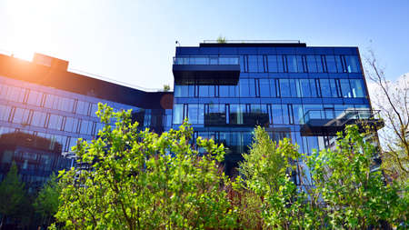 Eco architecture. Green tree and glass office building. The harmony of nature and modernity. Reflection of modern commercial building on glass with sunlight.の写真素材