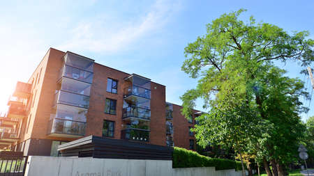 Eco architecture. Green tree and apartment building. The harmony of nature and modernity.
