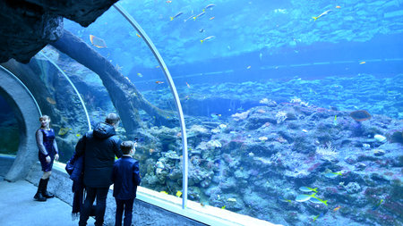 Lodz, Poland. 16 February 2023. Orientarium Zoo Lodz. Group of tourists visiting the aquarium. People in underwater tunnel aquarium. Ocean and coral reef.のeditorial素材