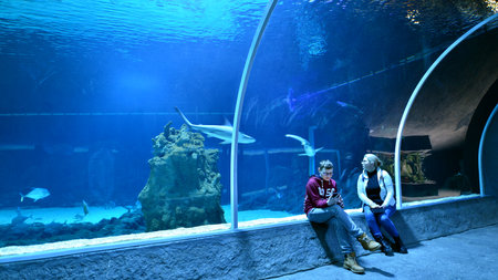 Lodz, Poland. 16 February 2023. Orientarium Zoo Lodz. Group of tourists visiting the aquarium. People in underwater tunnel aquarium. Ocean and coral reef.のeditorial素材