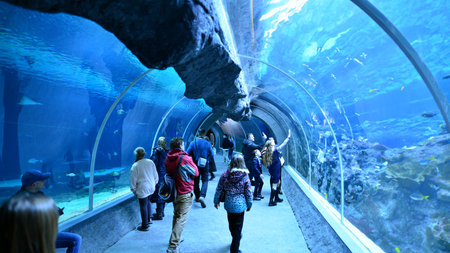 Lodz, Poland. 16 February 2023. Orientarium Zoo Lodz. Group of tourists visiting the aquarium. People in underwater tunnel aquarium. Ocean and coral reef.のeditorial素材