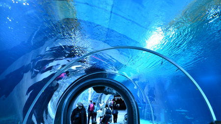 Lodz, Poland. 16 February 2023. Orientarium Zoo Lodz. Group of tourists visiting the aquarium. People in underwater tunnel aquarium. Ocean and coral reef.のeditorial素材