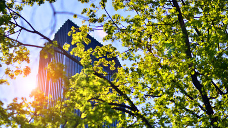 Eco skyscraper in modern city concept. Fresh green trees and office building, business concept.の写真素材