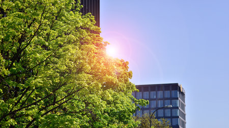 Reflection of modern commercial building on glass with sunlight. eco architecture. Green tree and glass office building. The harmony of nature and modernity.の写真素材