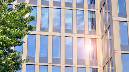 Reflection of modern commercial building on glass with sunlight. eco architecture. Green tree and glass office building. The harmony of nature and modernity.の写真素材