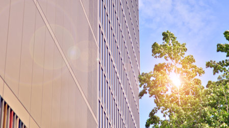 Reflection of modern commercial building on glass with sunlight. eco architecture. Green tree and...