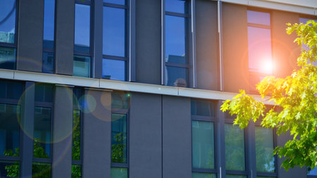 eco architecture. Details of facade glass and aluminum panels on building. Green tree and modern...