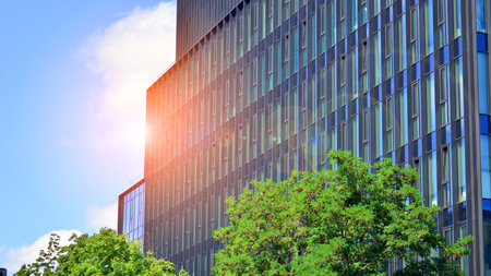 Reflection of modern commercial building on glass with sunlight. eco architecture. Green tree and...