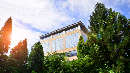 Eco building in modern city concept. Fresh green trees and office building, business concept.