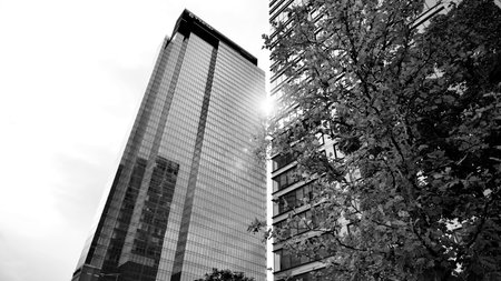 Abstract reflection of modern city glass facades. Modern office building detail, glass surface....