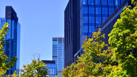 City life, urban landscape and ecology. Modern office complex with glass facades and smooth lines...