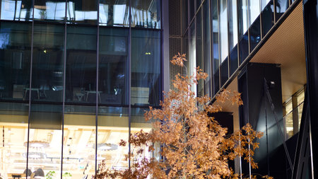 Office building in the evening with lightened workspaces. Modern, glazed skyscraper in financial district. Late hours in the office.の写真素材