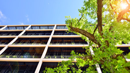 Modern city eco office building with tree. Detail shot of modern architecture facade, business concepts. Environment. Modern building and trees, double exposure.の写真素材